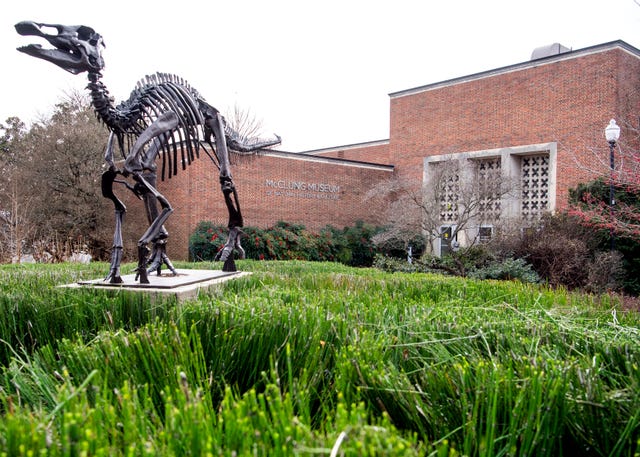 McClung Museum of Natural History & Culture
